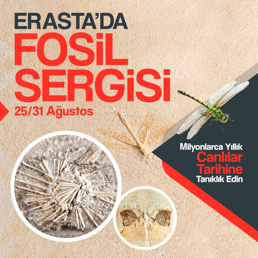 Erasta’da Fosil Sergisi